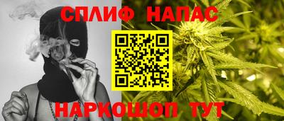 прущие грибы Брянск