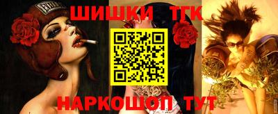 прущие грибы Брянск