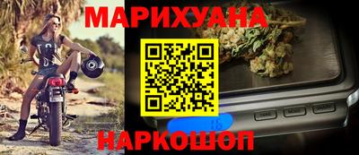 прущие грибы Брянск