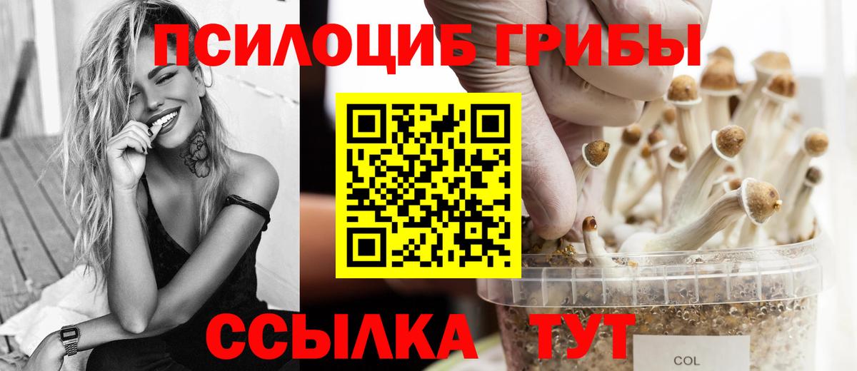 Галлюциногенные грибы Psilocybine cubensis  Галлюциногенные грибы MAGIC MUSHROOMS  Вход с VPN  Асино 