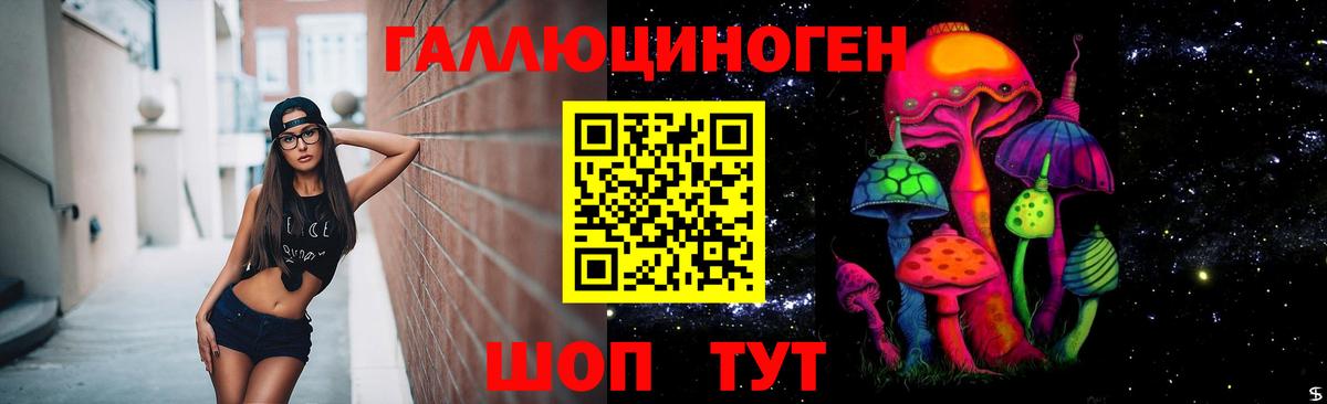 Псилоцибиновые грибы GOLDEN TEACHER Асино